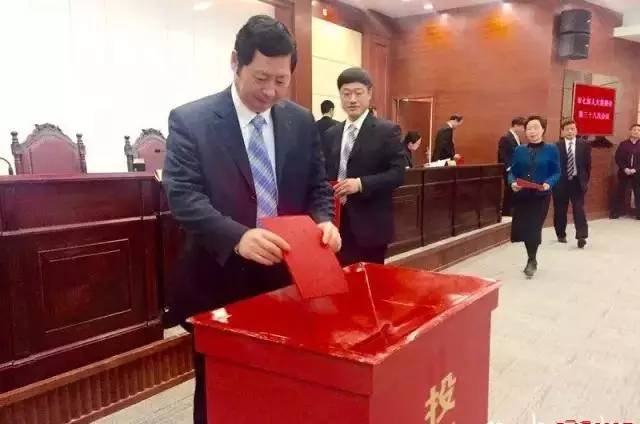 金灣區(qū)民政局人事任命最新動態(tài)揭秘