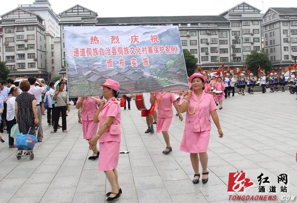 通道侗族自治縣民政局新項目推動社區(qū)發(fā)展，提升民生福祉