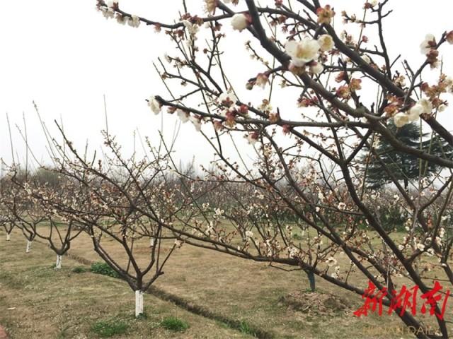 關(guān)于我們 第141頁