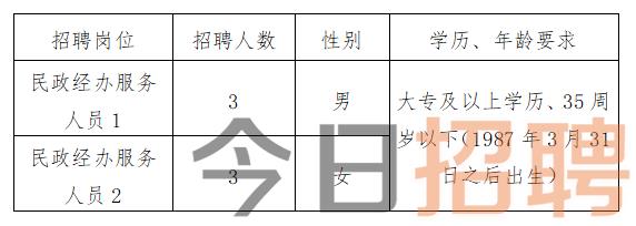 漾濞彝族自治縣統(tǒng)計(jì)局最新招聘信息與招聘細(xì)節(jié)全面解析