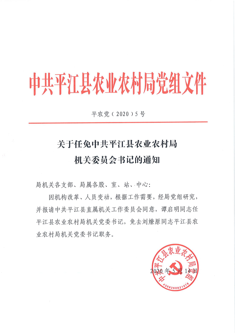 灣口村民委員會人事任命更新及其社區(qū)影響展望