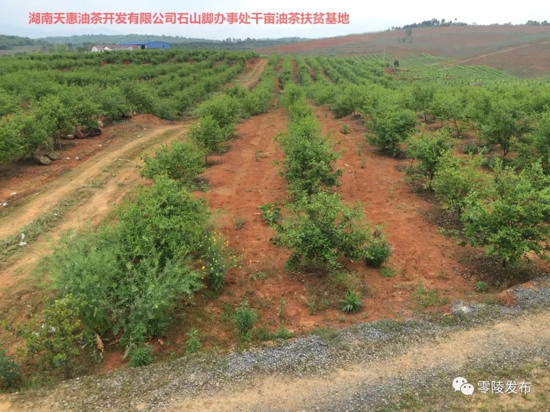 泗水縣農(nóng)業(yè)農(nóng)村局最新動(dòng)態(tài)報(bào)道