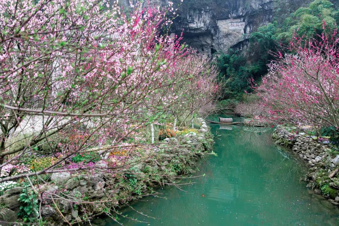 桃花源街道天氣預(yù)報更新通知