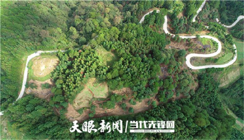 丹寨縣發(fā)展和改革局領(lǐng)導(dǎo)團(tuán)隊(duì)全新亮相，展望未來發(fā)展藍(lán)圖