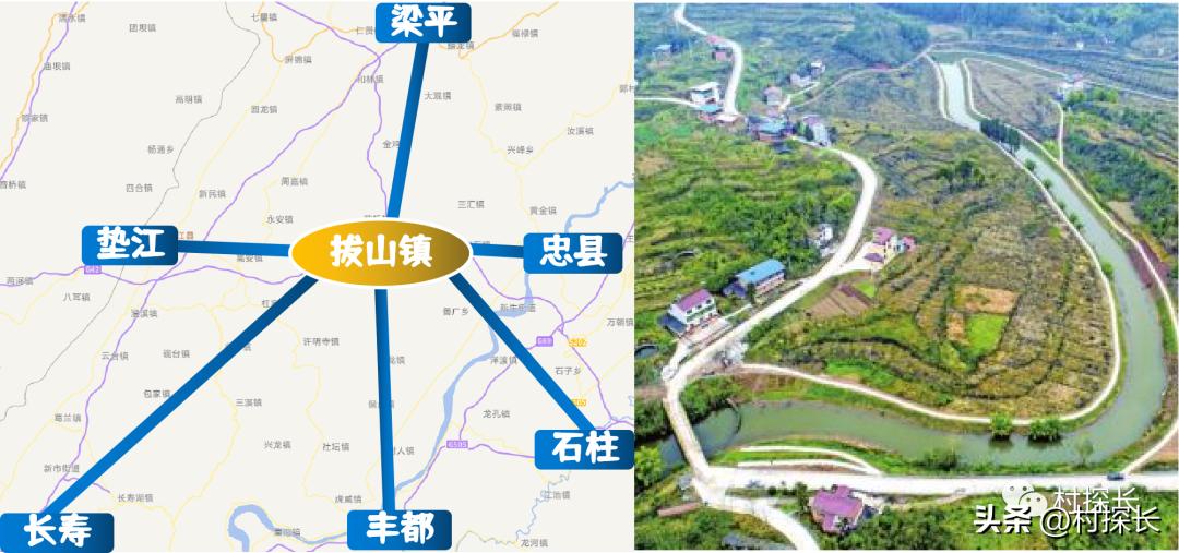 忠縣農(nóng)業(yè)農(nóng)村局最新動(dòng)態(tài)報(bào)道