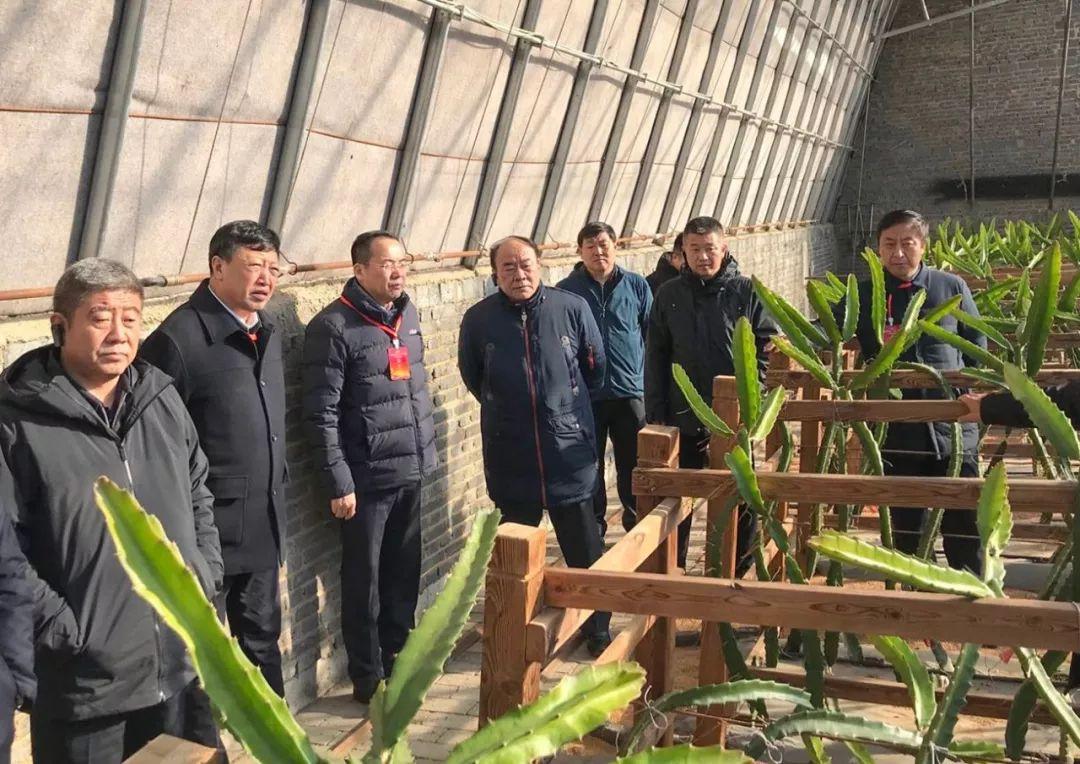 常興店鎮(zhèn)最新項目，地區(qū)發(fā)展的強大引擎引領(lǐng)者